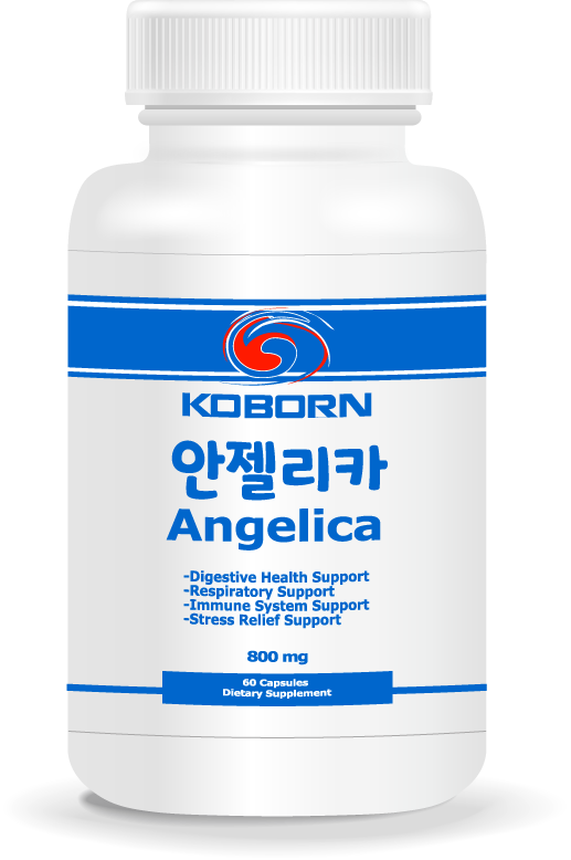 Angelica Root